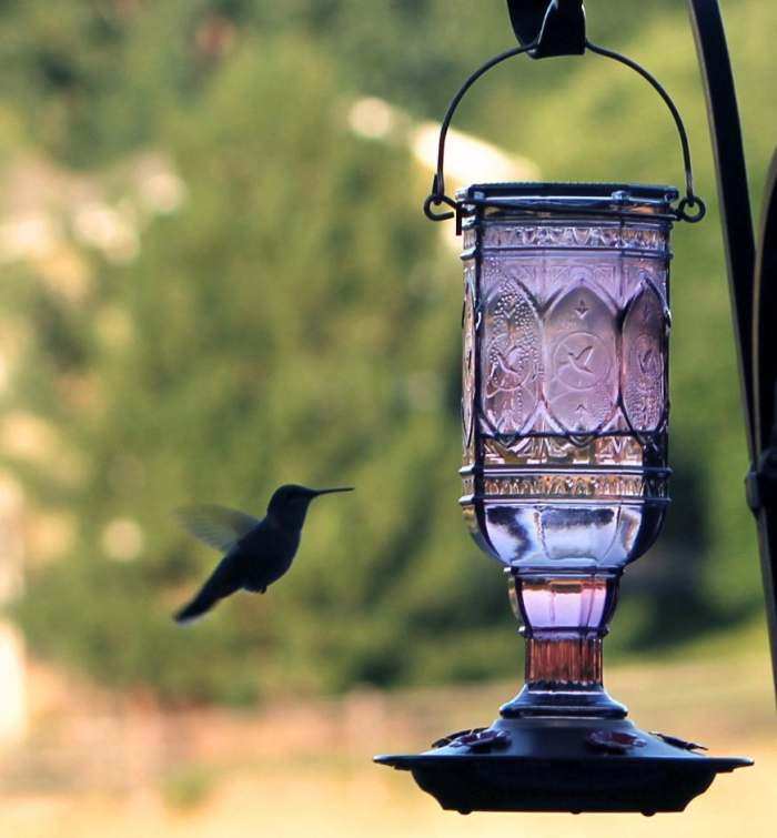 Jewel Amethyst Hummingbird Feeder 20 oz.